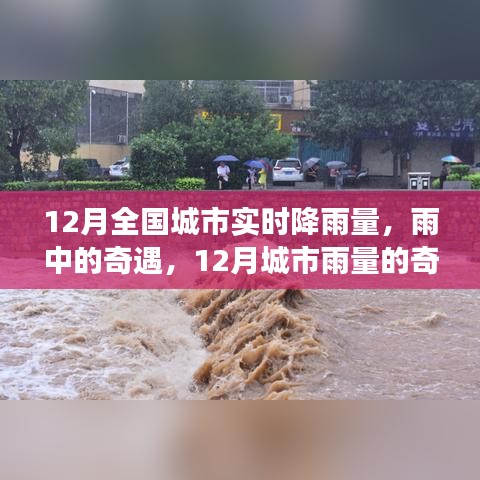12月城市雨情，雨中奇遇與奇妙旅程的實時記錄