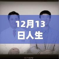 新手指南，如何利用貓眼平臺關(guān)注人生路不熟實時票房，洞悉電影市場動態(tài)
