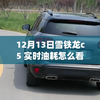揭秘雪鐵龍C5實時油耗查看方法與駕駛秘籍，探尋小巷特色小店！