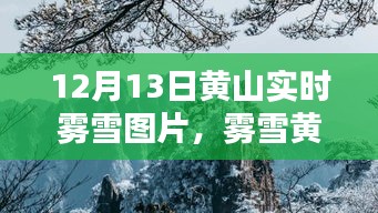 霧雪黃山，仙境再現(xiàn)，實(shí)時(shí)美景圖片分享