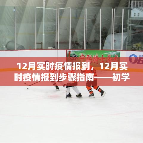 12月實(shí)時(shí)疫情報(bào)到全程指南，從初學(xué)者到進(jìn)階用戶(hù)的必備參考