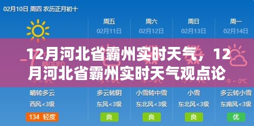 2024年12月21日 第2頁(yè)