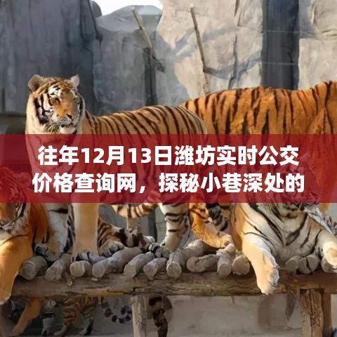 探秘小巷深處的公交情緣，濰坊實(shí)時(shí)公交價(jià)格查詢網(wǎng)故事