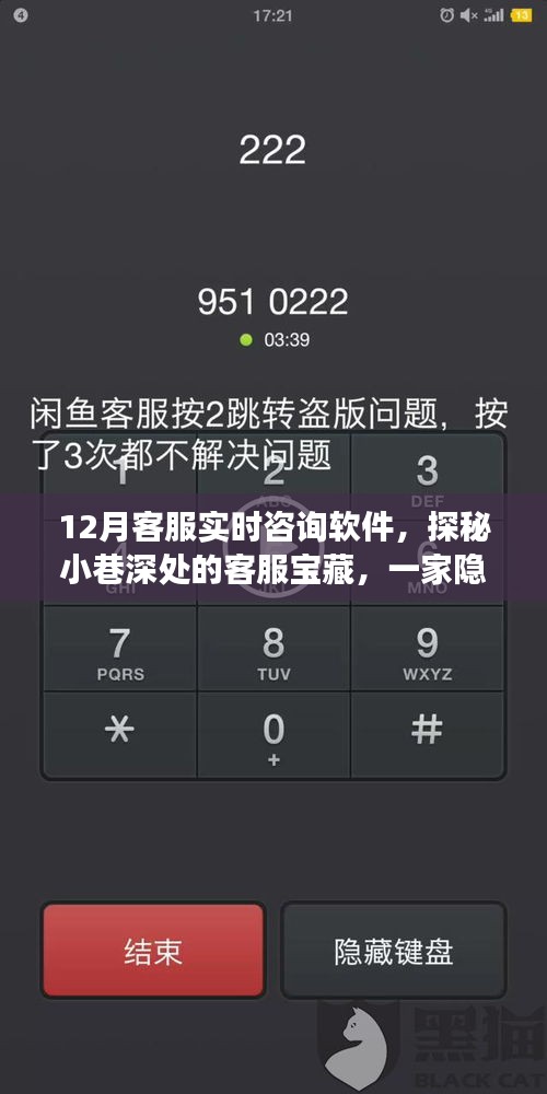 探秘隱藏版客服寶藏，十二月實(shí)時咨詢軟件奇妙之旅