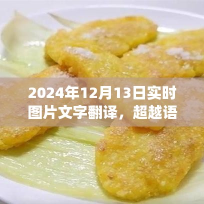 超越語言界限，實(shí)時(shí)圖片文字翻譯的魅力與勵(lì)志故事——2024年12月13日紀(jì)實(shí)標(biāo)題