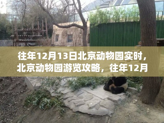 往年12月13日北京動物園游覽攻略，完美體驗指南