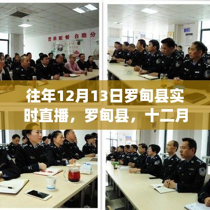 羅甸縣直播日回顧與影響深度解析，十二月十三日的直播紀(jì)實(shí)