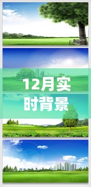 探索自然秘境，12月實時背景摳圖素材帶你踏上寧靜之旅