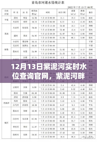 紫泥河溫情水位與家的故事，實時水位查詢官網(wǎng)揭秘