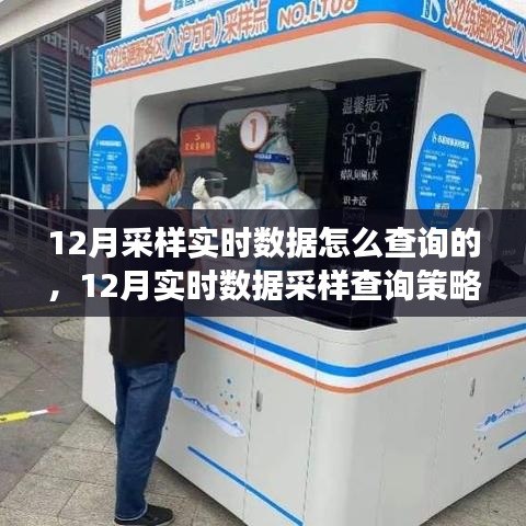 12月實時數(shù)據(jù)采樣與查詢策略解析，多方觀點探討及個人立場