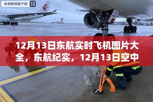 東航實(shí)時(shí)飛機(jī)紀(jì)實(shí)，空中巨翼的翱翔與影響，12月13日實(shí)拍圖片大全