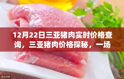 三亞豬肉價格探秘，一場尋找價格與心靈平靜的旅行之旅