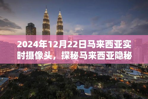 探秘馬來西亞特色小店，實時攝像頭下的隱秘日常（2024年12月22日）