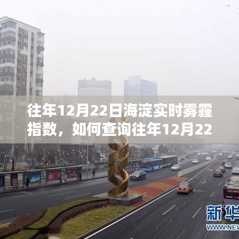 2024年12月23日 第19頁