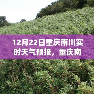 重慶南川天氣預(yù)報(bào)之旅，變化中的學(xué)習(xí)，鑄就自信與力量的未來