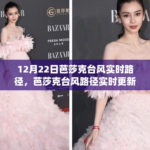揭秘臺風(fēng)動向，芭莎克臺風(fēng)實(shí)時路徑更新與天氣變化掌握
