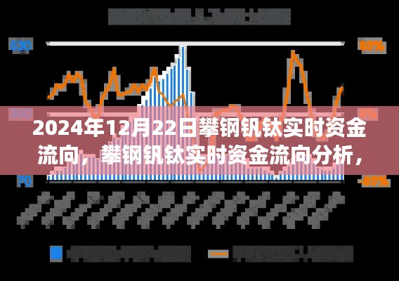 攀鋼釩鈦實(shí)時資金流向觀察與分析，2024年12月22日的觀點(diǎn)與洞察