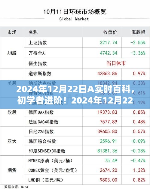 初學(xué)者進(jìn)階！2024年12月22日A實(shí)時百科使用指南全解析