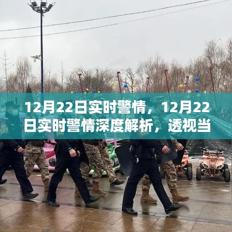 12月22日警情透視，實時治安動態(tài)與深度影響解析