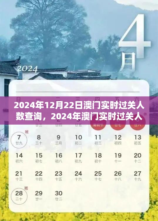 澳門實時過關(guān)人數(shù)查詢指南，掌握出入境動態(tài)，了解澳門出入境最新動態(tài)（2024年）
