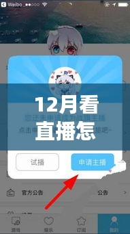 12月直播之旅，用翻譯軟件實時互動，與自然共舞，開啟心靈探索之旅
