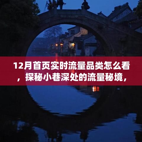探秘特色小店，揭秘十二月實時流量故事與小巷深處的流量秘境