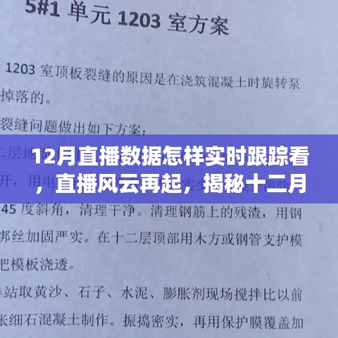 揭秘十二月直播風(fēng)云，實(shí)時(shí)跟蹤數(shù)據(jù)之旅