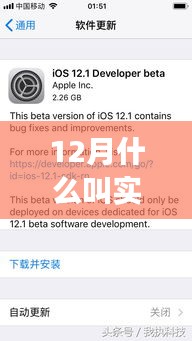 揭秘實(shí)時(shí)生成文件，重塑未來辦公體驗(yàn)的科技前沿新功能，揭秘十二月新功能亮點(diǎn)