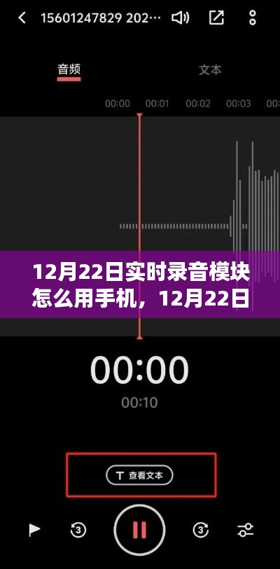 12月22日實時錄音模塊手機應(yīng)用解析與使用之道，多方觀點碰撞