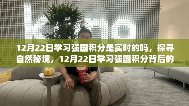 探尋自然秘境，學(xué)習(xí)強國積分背后的寧靜之旅——實時積分背后的秘密