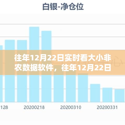 往年12月22日實時大小非農(nóng)數(shù)據(jù)軟件評測與介紹，全面洞悉數(shù)據(jù)動態(tài)，洞悉市場趨勢