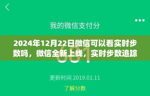 微信全新上線實(shí)時(shí)步數(shù)追蹤功能，感受科技與健康生活的融合（時(shí)間，2024年12月22日）