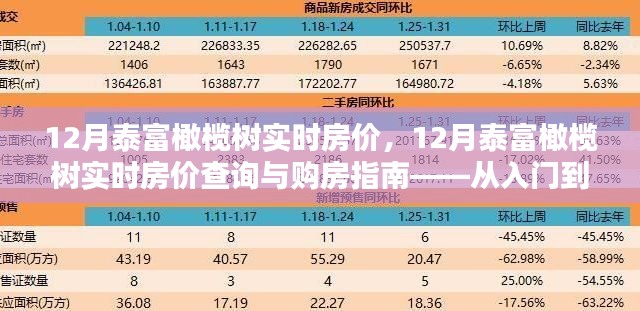 12月泰富橄欖樹實(shí)時(shí)房?jī)r(jià)詳解，購(gòu)房指南與查詢攻略