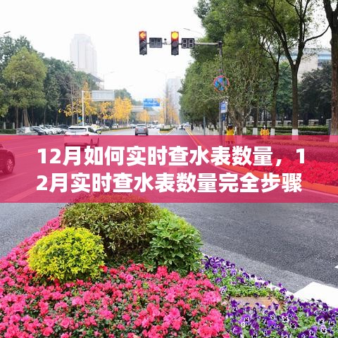 12月水表實時查數(shù)量完全指南，初學者與進階用戶的步驟教程