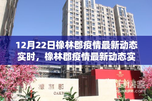 橡林郡疫情最新動態(tài)追蹤，智能監(jiān)控產(chǎn)品引領抗疫新時代，12月22日實時更新