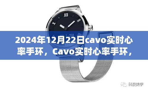 Cavo實時心率手環(huán)，2024年的健康守護之星