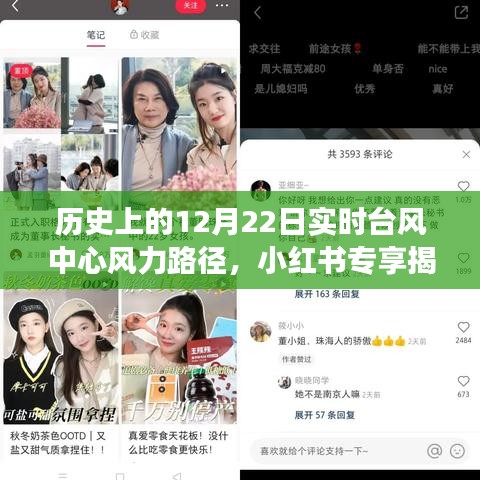 揭秘歷史臺(tái)風(fēng)路徑，壯麗軌跡揭示超強(qiáng)風(fēng)暴的實(shí)時(shí)動(dòng)態(tài)與風(fēng)力路徑（專享小紅書）