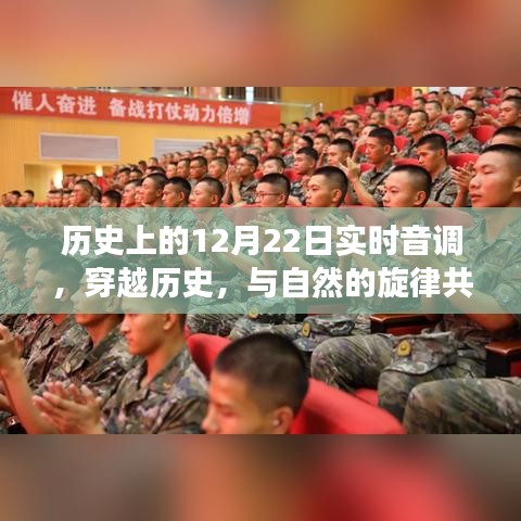 尋找內(nèi)心平靜的奇妙旅程，歷史上的12月22日實(shí)時(shí)音調(diào)與自然的旋律共舞