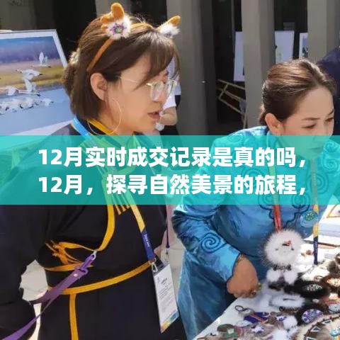 探尋自然美景的旅程，揭秘十二月實時成交記錄的真實與美好