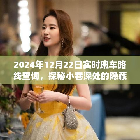探秘隱藏寶藏與美味奇緣，實(shí)時(shí)班車(chē)路線查詢(xún)指南（2024年12月22日）