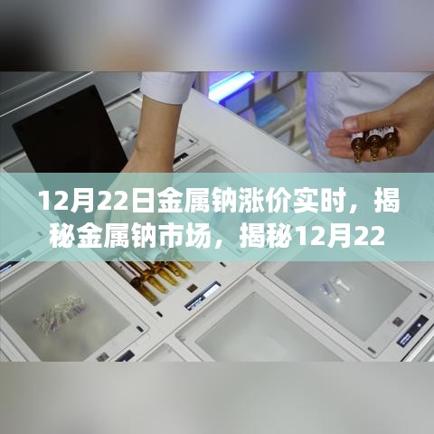 揭秘金屬鈉市場，漲價背后的實(shí)時動態(tài)（12月22日更新）