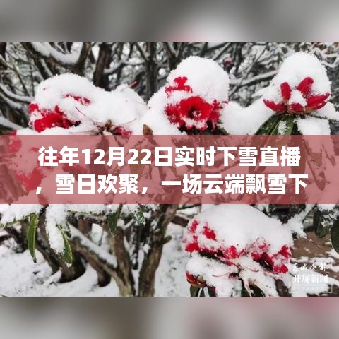 云端飄雪下的歡聚時光，12月22日實時下雪直播日常