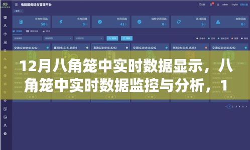 12月八角籠中實時數(shù)據(jù)監(jiān)控與分析，操作指南及數(shù)據(jù)解讀