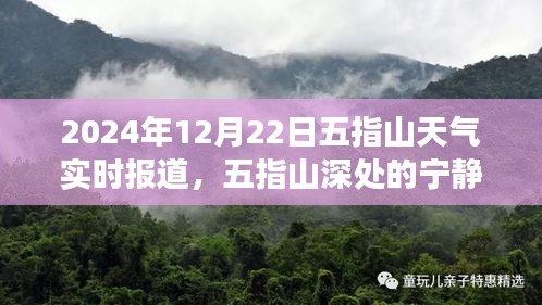 2024年12月25日