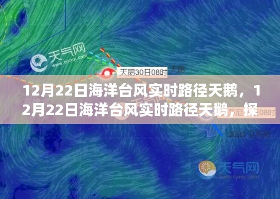 探尋臺風天鵝的神秘之旅，最新實時路徑追蹤報告（12月22日）