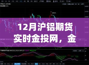 金投網(wǎng)獨家解析，滬鋁期貨市場12月動態(tài)與多元觀點探討