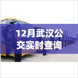 武漢公交326與自然美景之旅，寧靜與喜悅的探尋
