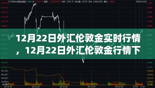 2024年12月26日 第14頁