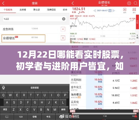 12月22日實(shí)時(shí)股票行情查看指南，適合初學(xué)者與進(jìn)階用戶(hù)的詳細(xì)步驟