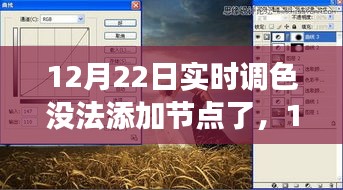 12月22日實(shí)時(shí)調(diào)色功能受限，性能、體驗(yàn)與競(jìng)品對(duì)比深度解析